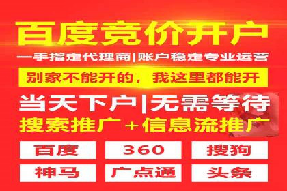 SEM搜索引擎优化：广告创意的策划与执行